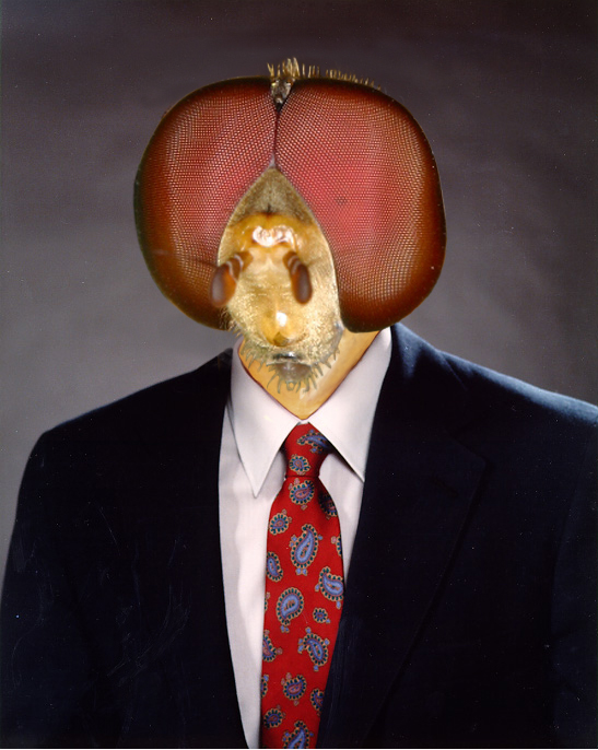 Photoshop Design by MrNelson for DesignCrowd (Community Contests) | Design #9153080