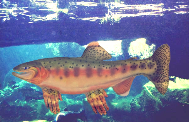 Photoshop-Design von CLOSER für DesignCrowd (Community Contests) | Design #9153136