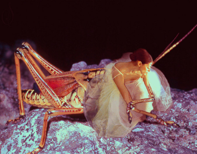 Photoshop Design by Simpletonic for DesignCrowd (Community Contests) | Design #9153176