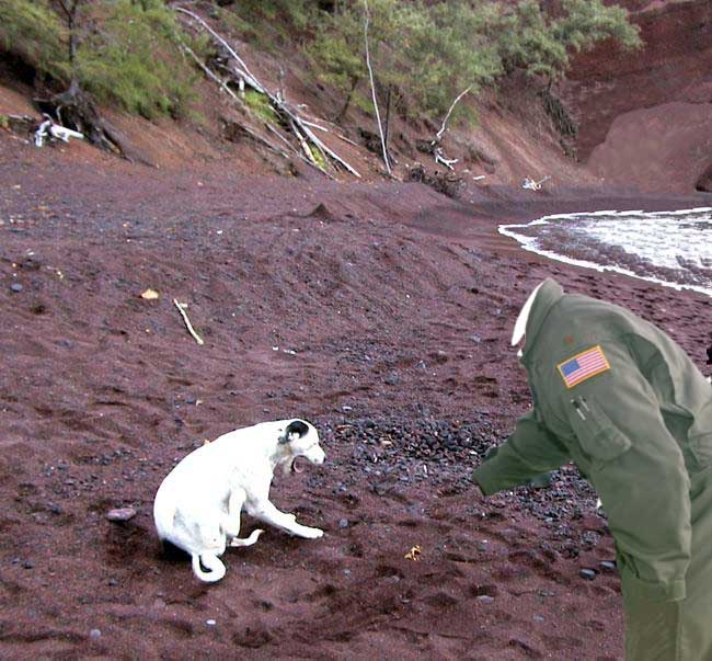 Photoshop Design by Cerebus for DesignCrowd (Community Contests) | Design #9152737