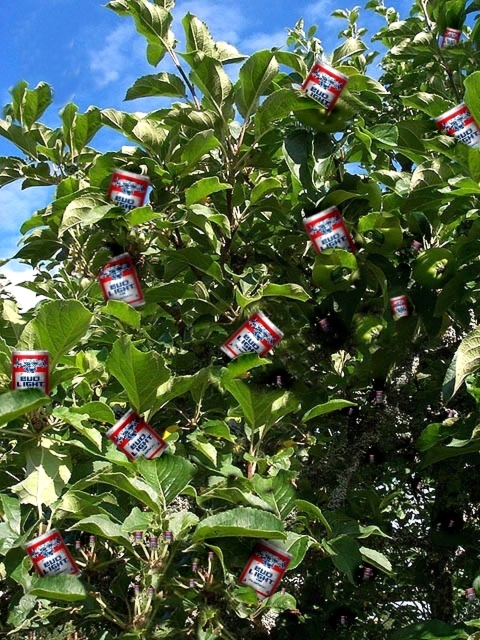 Design Photoshop par SiIkenFairy pour DesignCrowd (Community Contests) | Design #9152914