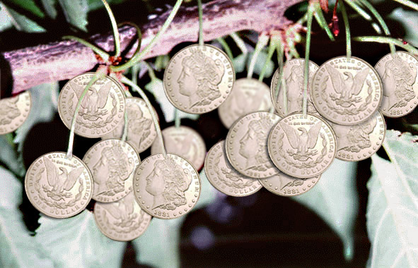 Photoshop Design by dnowhat for DesignCrowd (Community Contests) | Design #9152917