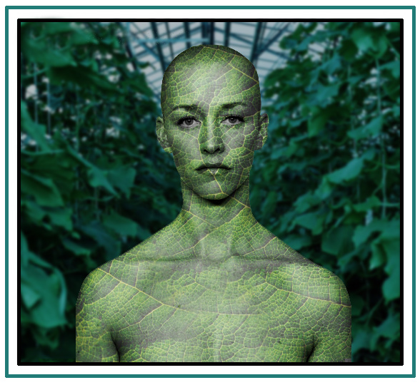 Photoshop Design by paddyjoe for DesignCrowd (Community Contests) | Design #9152947