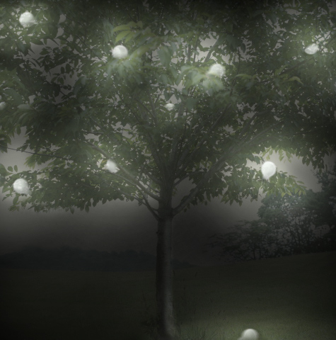 Diseño de Photoshop por Meatlump para DesignCrowd (Community Contests) | Diseño #9153019