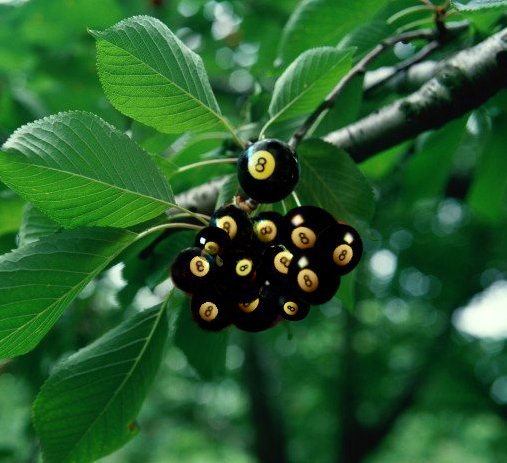 Photoshop Design by Bigpeeler for DesignCrowd (Community Contests) | Design #9152965