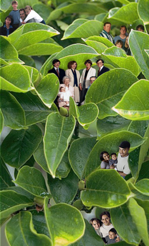 Diseño de Photoshop por princeok para DesignCrowd (Community Contests) | Diseño #9152988