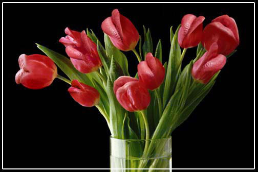 Photoshop Design by DerAlt for DesignCrowd (Community Contests) | Design #9153007