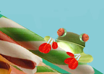 Photoshop Design by susv for DesignCrowd (Community Contests) | Design #9154598