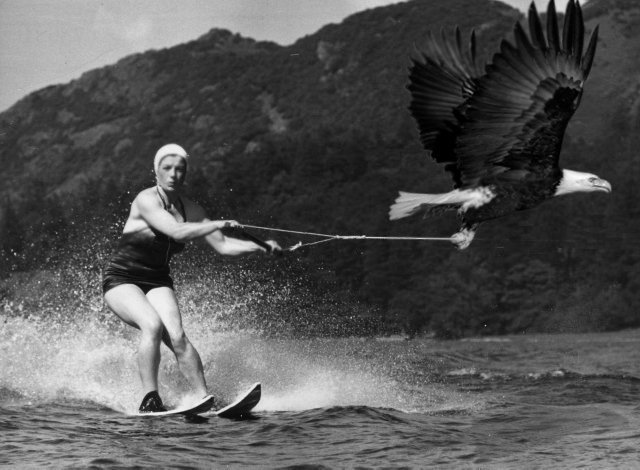 Photoshop Design by Bigpeeler for DesignCrowd (Community Contests) | Design #9152198