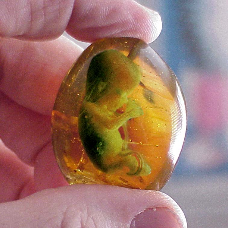 Photoshop Design by gunmetal for DesignCrowd (Community Contests) | Design #9149485