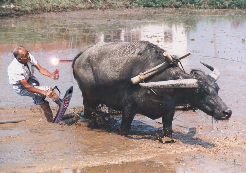 Photoshop Design by Swamptromp for DesignCrowd (Community Contests) | Design #9152208