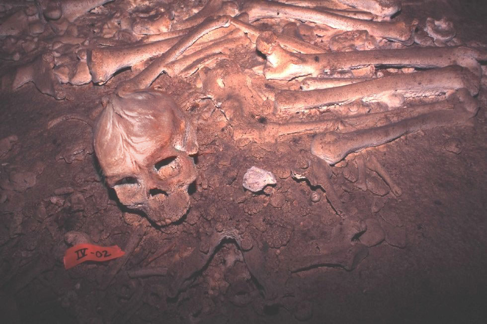 Photoshop Design by Hawk for DesignCrowd (Community Contests) | Design #9149618