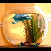 Photoshop Design by gunmetal