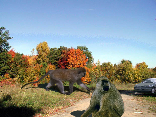 Photoshop-Design von viscera für DesignCrowd (Community Contests) | Design #9151366