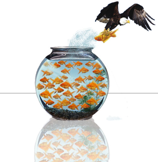 Photoshop-Design von dlk2002 für DesignCrowd (Community Contests) | Design #9151437