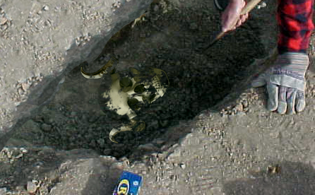 Diseño de Photoshop por Bobz para DesignCrowd (Community Contests) | Diseño #9149621