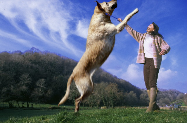 Photoshop Design by stylin for DesignCrowd (Community Contests) | Design #9151405