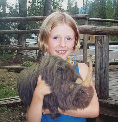 Diseño de Photoshop por Lockspro para DesignCrowd (Community Contests) | Diseño #9151388