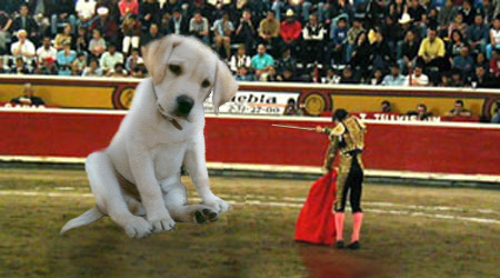 Photoshop-Design von CLOSER für DesignCrowd (Community Contests) | Design #9151467