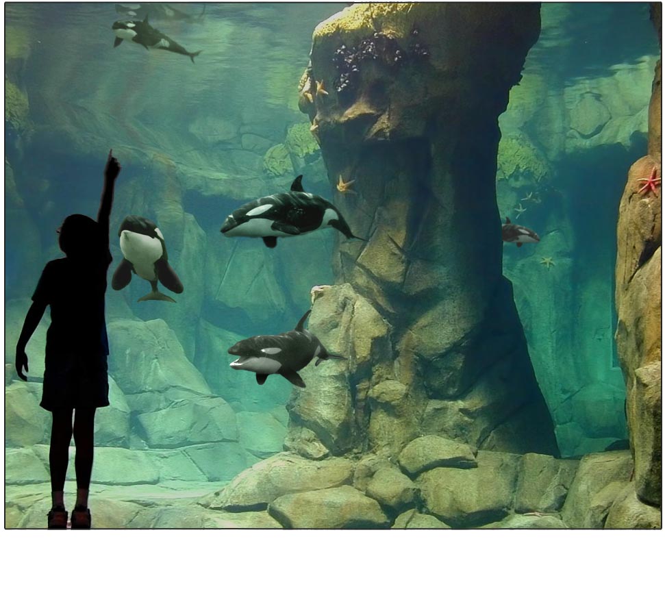 Photoshop Design by Puffnasty for DesignCrowd (Community Contests) | Design #9151489