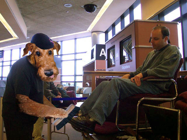 Photoshop Design by danceswithcameras for DesignCrowd (Community Contests) | Design #9152378