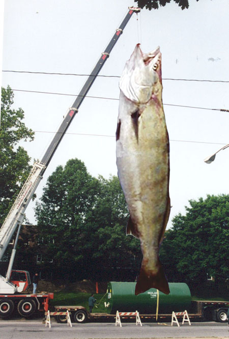 Photoshop Design by lefthand for DesignCrowd (Community Contests) | Design #9154410