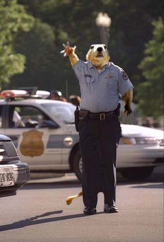 Photoshop Design by Swamptromp for DesignCrowd (Community Contests) | Design #9152396