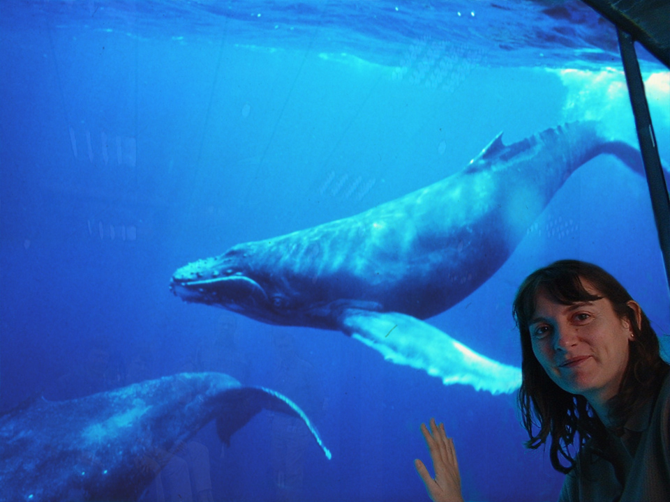 Photoshop Design by MrNelson for DesignCrowd (Community Contests) | Design #9154514