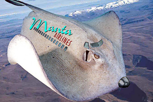 Photoshop Design by ARagMan for DesignCrowd (Community Contests) | Design #9154689