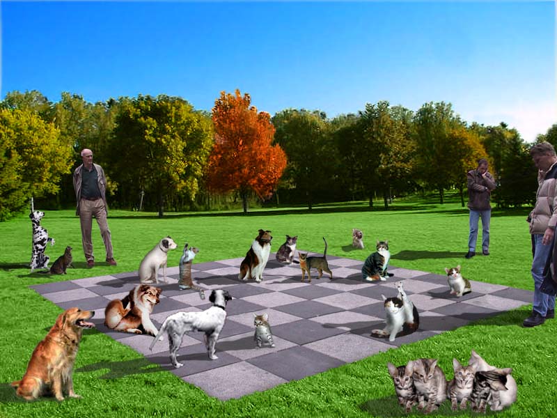 Photoshop Design by Puffnasty for DesignCrowd (Community Contests) | Design #9154805