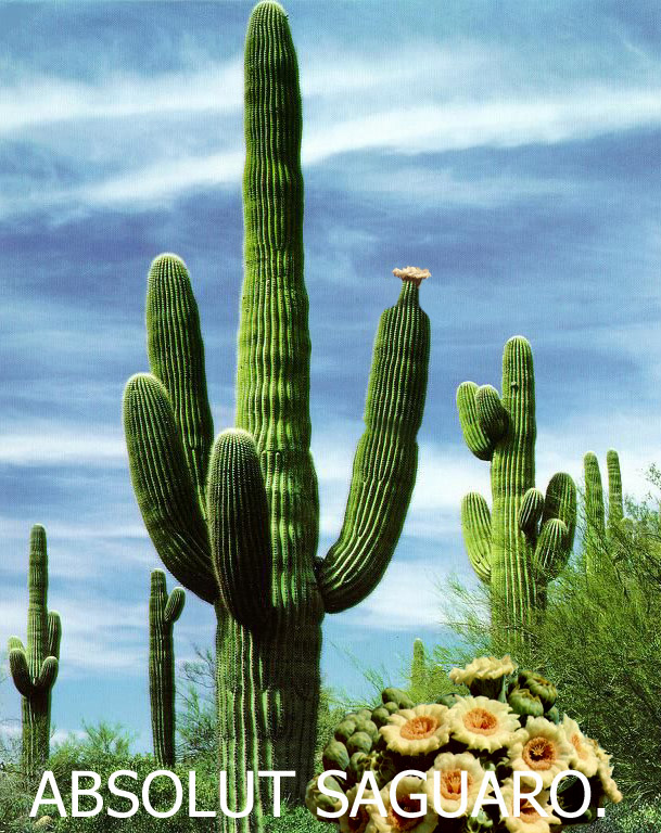 Design Photoshop par danceswithcameras pour DesignCrowd (Community Contests) | Design #9154423