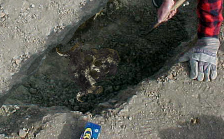 Diseño de Photoshop por Bobz para DesignCrowd (Community Contests) | Diseño #9154827