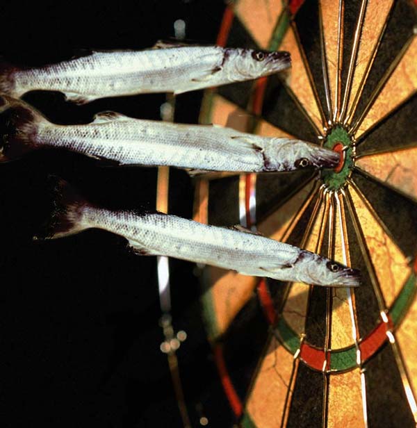 Photoshop Design by gunmetal for DesignCrowd (Community Contests) | Design #9143728