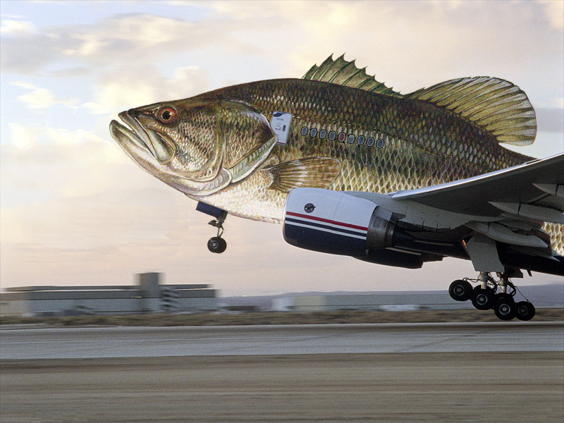 Photoshop Design by visconti for DesignCrowd (Community Contests) | Design #9143813