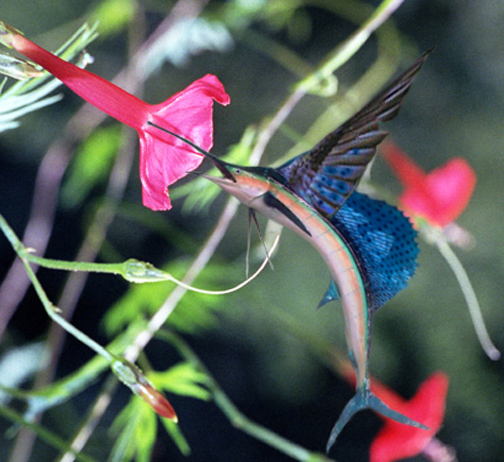 Photoshop Design by Stephen1177 for DesignCrowd (Community Contests) | Design #9143781