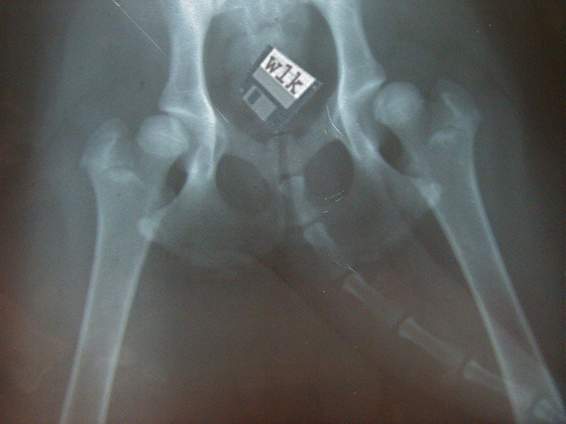 Photoshop Design by lefthand for DesignCrowd (Community Contests) | Design #9150782