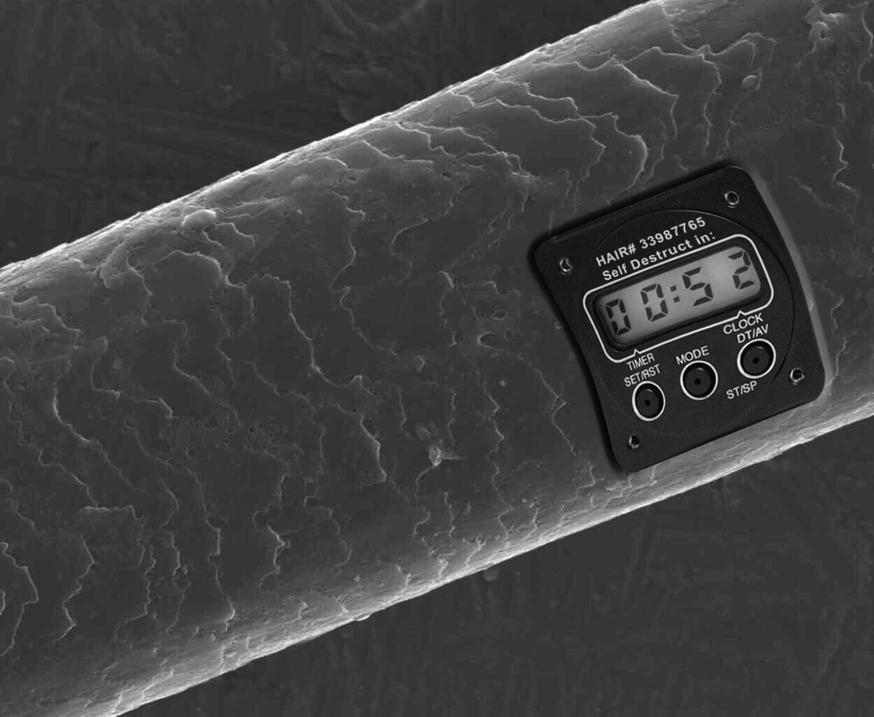 Photoshop Design by gene for DesignCrowd (Community Contests) | Design #9150844