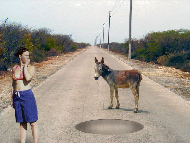 Diseño de Photoshop por Erik666 para DesignCrowd (Community Contests) | Diseño #9154164