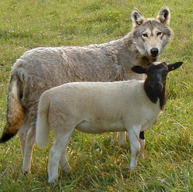 Photoshop Design by MrNelson for DesignCrowd (Community Contests) | Design #9154168