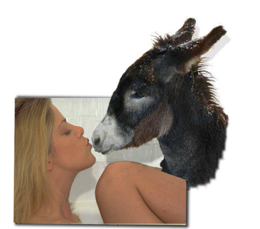 Photoshop Design by Scrollbar for DesignCrowd (Community Contests) | Design #9154202