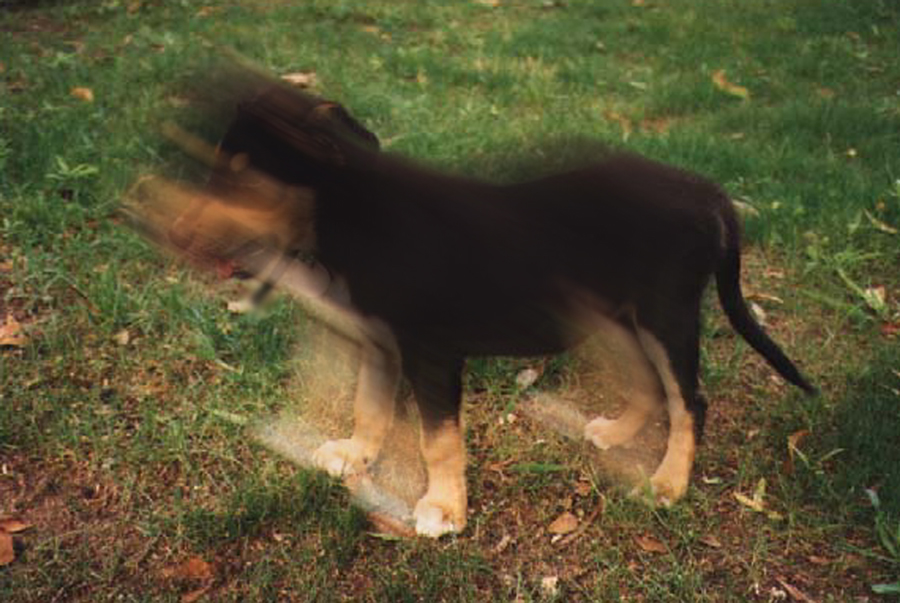 Diseño de Photoshop por Ghost para DesignCrowd (Community Contests) | Diseño #9154277