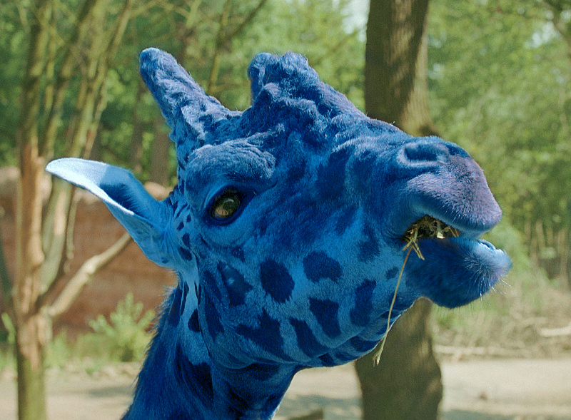 Photoshop Design by MrNelson for DesignCrowd (Community Contests) | Design #9149702