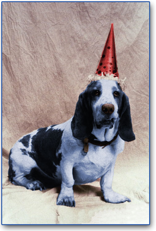 Photoshop-Design von alzeke für DesignCrowd (Community Contests) | Design #9149711