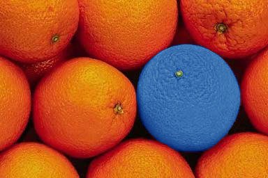 Design Photoshop par goose pour DesignCrowd (Community Contests) | Design #9149723