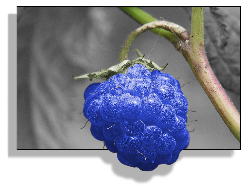 Photoshop Design by maxilution for DesignCrowd (Community Contests) | Design #9149824