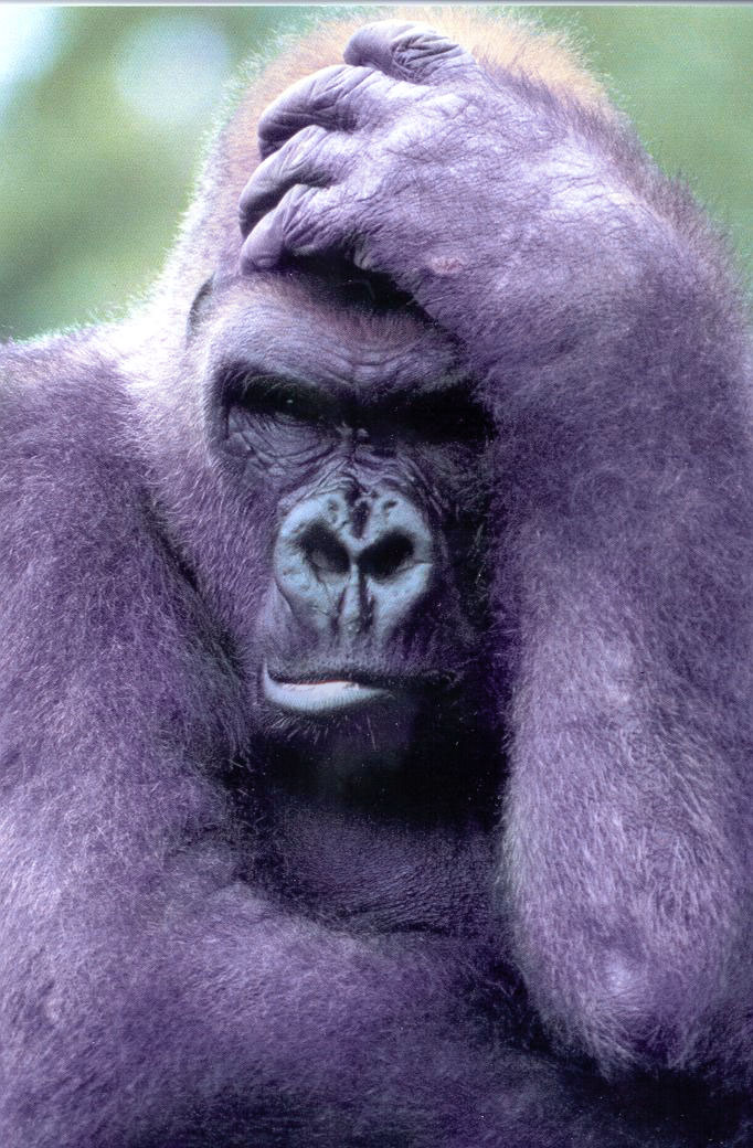 Photoshop Design by paplaukes for DesignCrowd (Community Contests) | Design #9149819