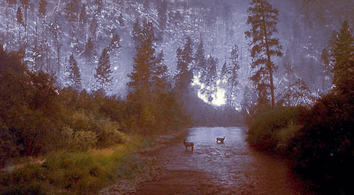 Photoshop Design by fiel for DesignCrowd (Community Contests) | Design #9149848