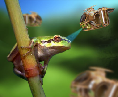 Photoshop Design by Puffnasty for DesignCrowd (Community Contests) | Design #9152134