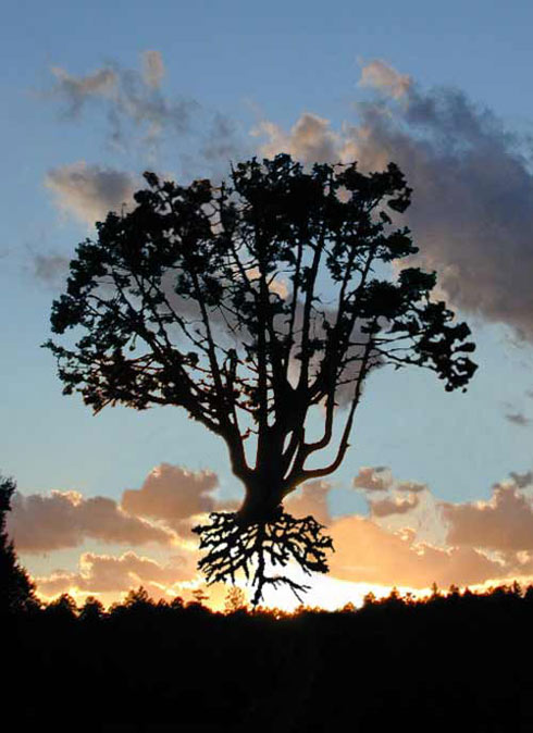 Photoshop Design by gunmetal for DesignCrowd (Community Contests) | Design #9129067