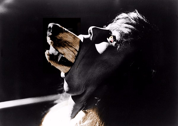 Photoshop-Design von Naked__Ninja für DesignCrowd (Community Contests) | Design #9152621